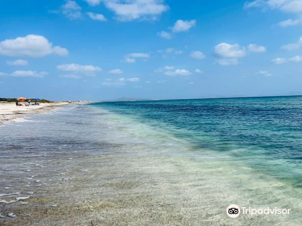 Stabilimento Balneare I Fenicotteri