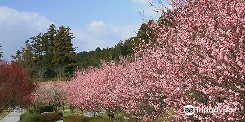 本木川自然公園・ほたるの裏