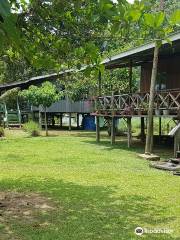 Kinabatangan Jungle Camp