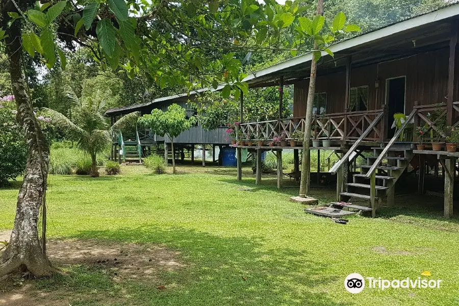 Kinabatangan Jungle Camp