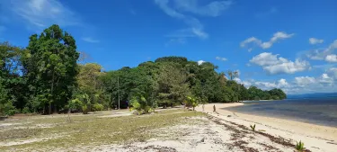Red Skin Island