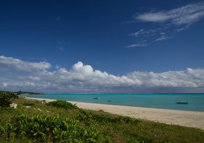 Okaneku Coast