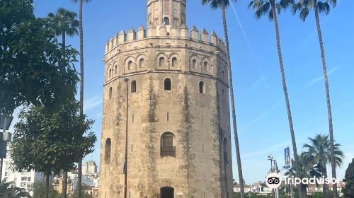 Free Walking Tour Sevilla