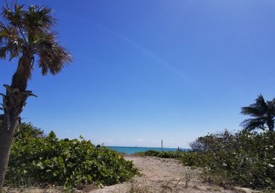 Dr. Von D. Mizell-Eula Johnson State Park