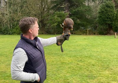 Dalhousie Castle Falconry