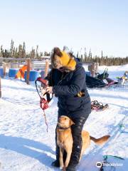 Arctic Winter Adventures