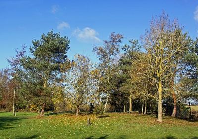 Long Buckby Pocket Park