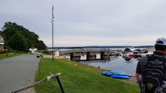 Salty Dog Sea Tours