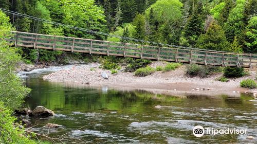 Bay Of Fundy