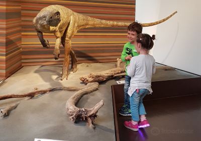 Musée de la nature des Grisons