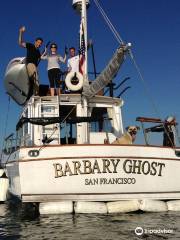 Barbary Ghost