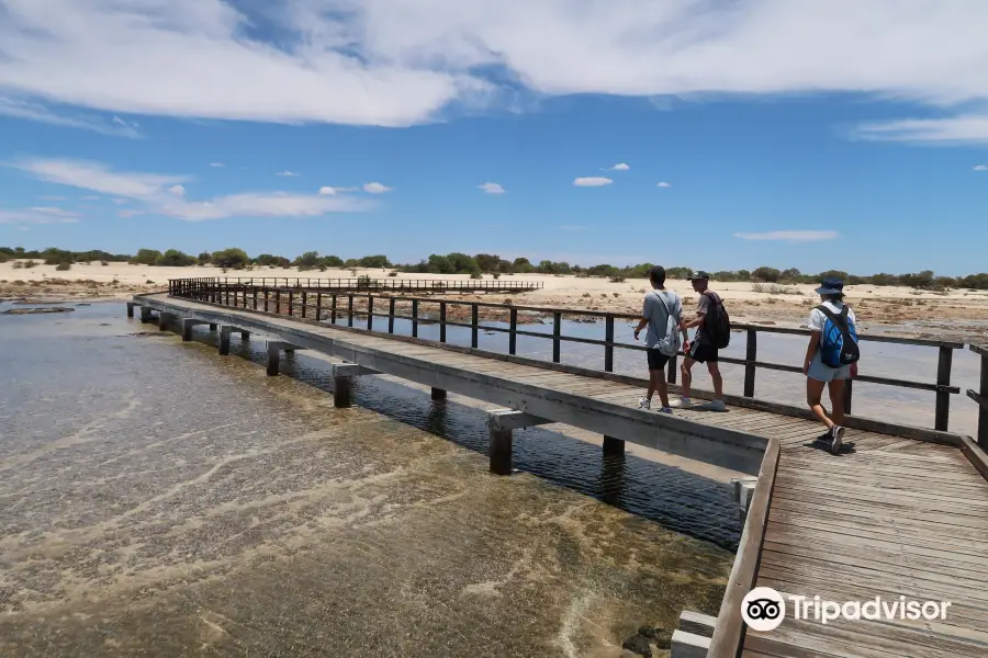 Hamelin Pool Marine Nature Reserve