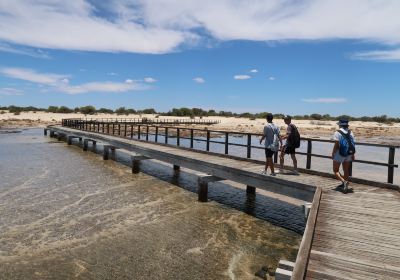 Hamelin Pool Marine Nature Reserve