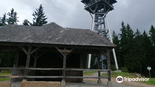 Riesenbuhlturm in Schluchsee