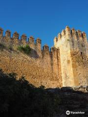 Castillo de las Aguzaderas