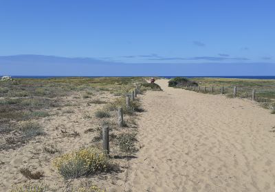 Plage of the Terriere