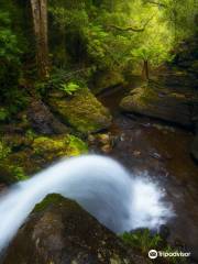 Liffey Falls