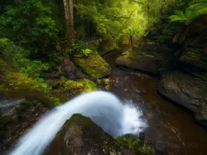 Liffey Falls