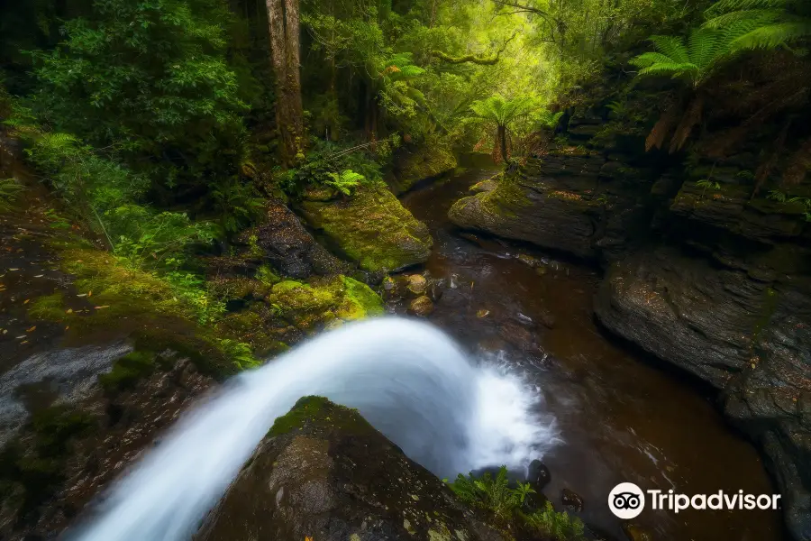 Liffey Falls