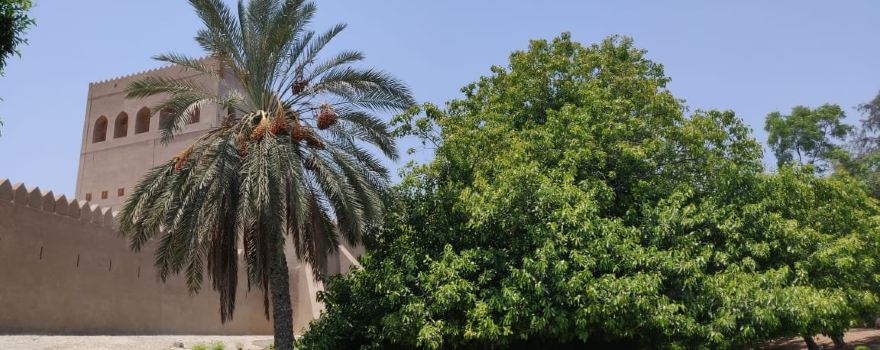 Sohar Fort