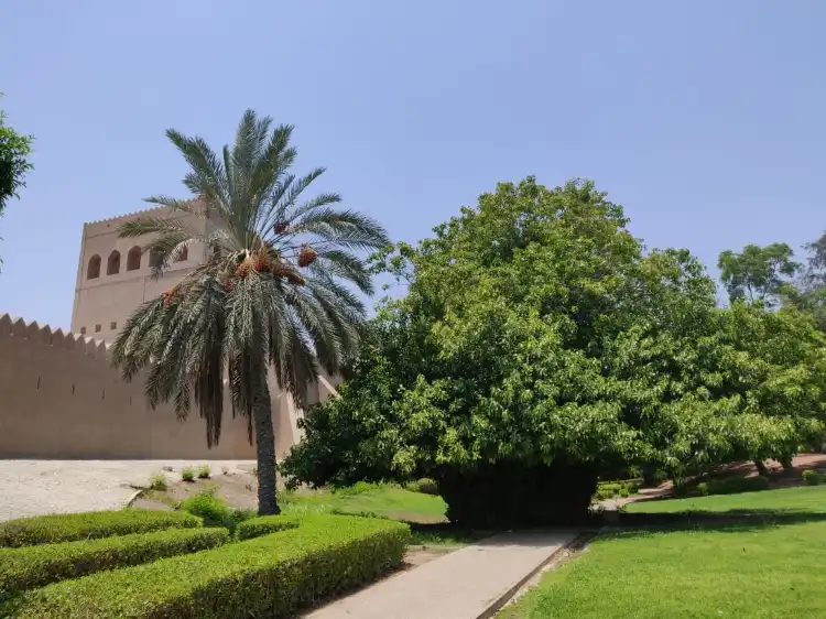 Sohar