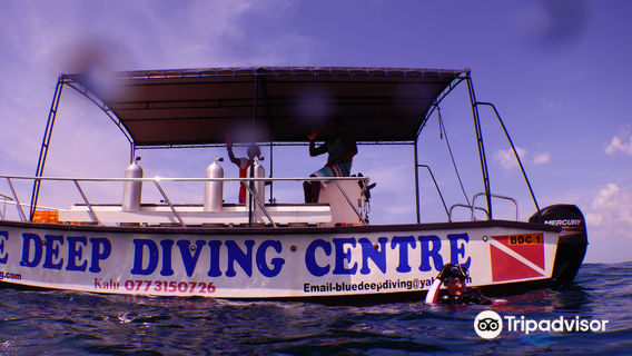 Blue Deep Diving Centre