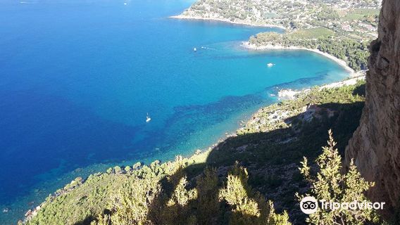 Cassis