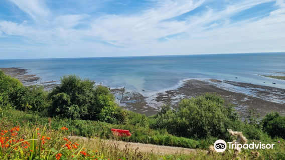 Robin Hood's Bay Museum