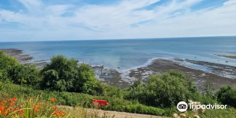 Robin Hood's Bay and Fylingdales Museum