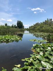 Justin's Jungle Airboat Rides