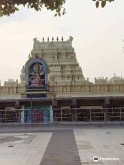 Bhadrakali Temple