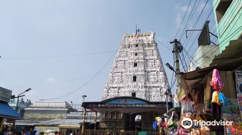 Sri Padmavathi Ammavaari Temple