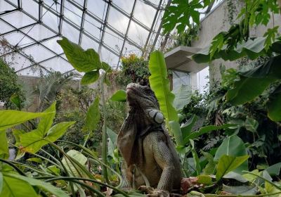 栃木県なかがわ水遊園