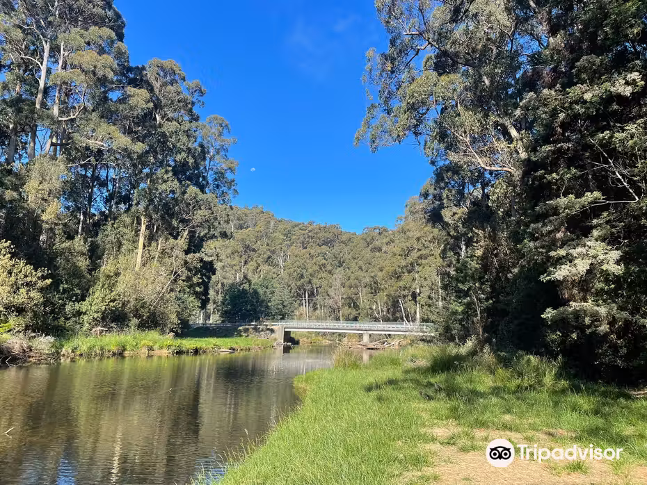 Voli ${{cityDName}} Strahan