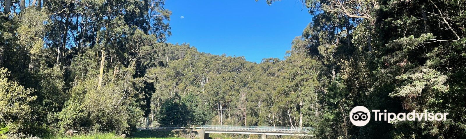 BurnieExcursions d'une journée