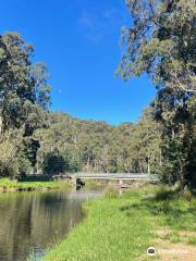 Fern Glade Reserve