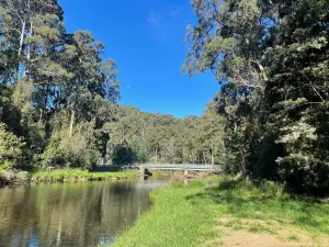 Fern Glade Platypus Reserve