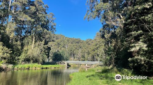 Fern Glade Platypus Reserve