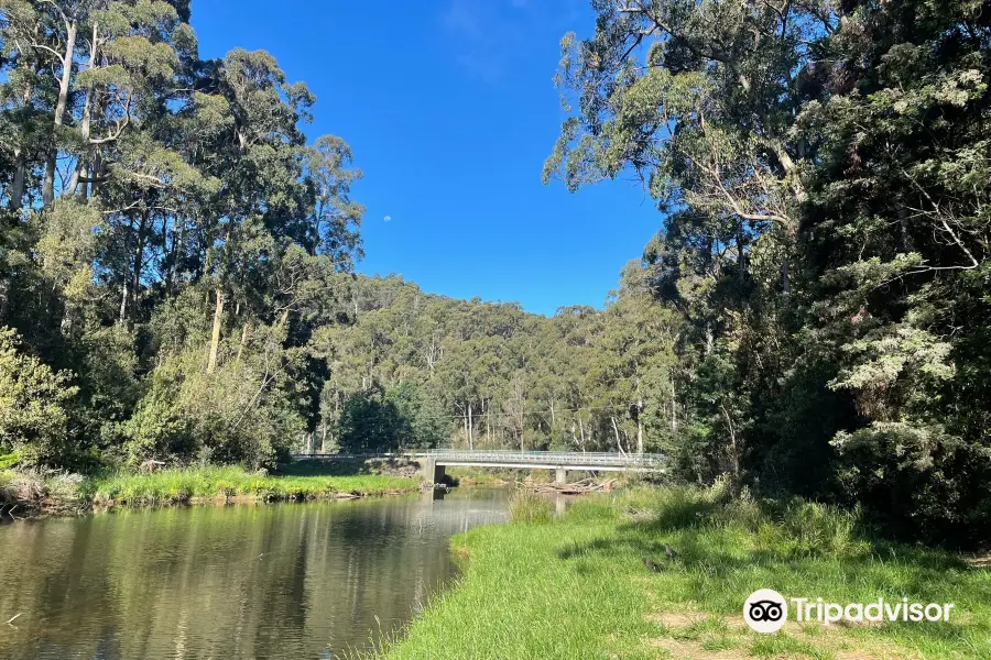 Fern Glade Platypus Reserve