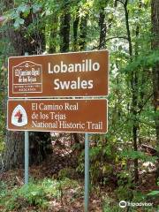 Lobanillo Swales