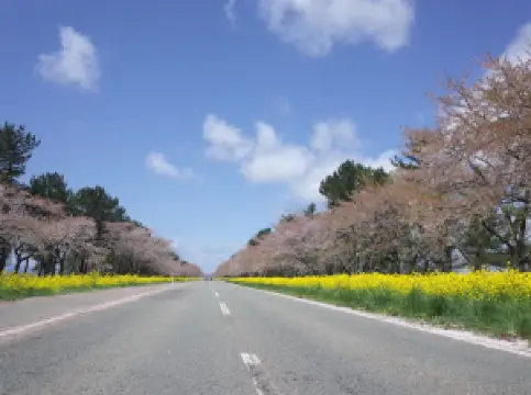 ถนนนาโนฮานะ