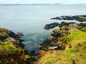 Crawfordsburn Country Park