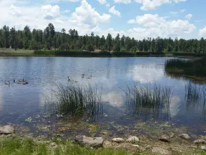 White Mountain Nature Center