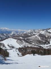 Ichinose Family Ski Area