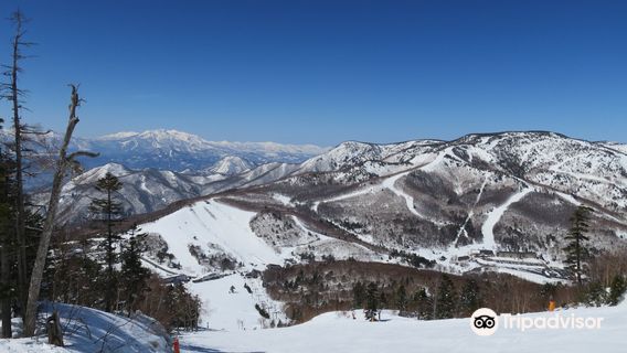 Ichinose Family Ski Area