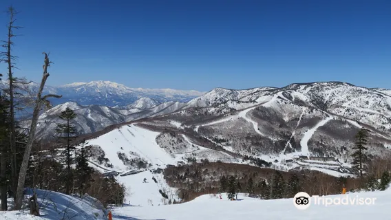 Ichinose Family Ski Area