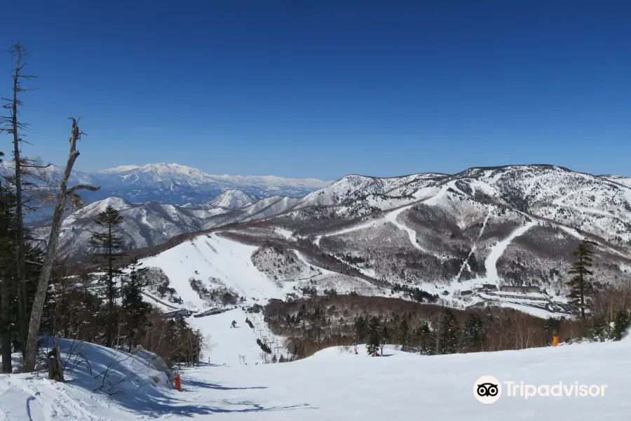 Ichinose Family Ski Area
