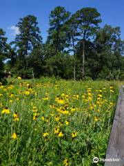 Pineywoods Native Plant Center