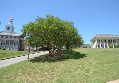 Coleman Hill park