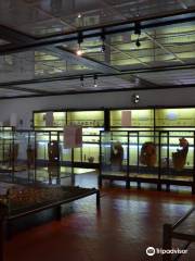 Ethnographic Museum Colonial Juan de Garay